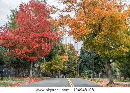 Color Street