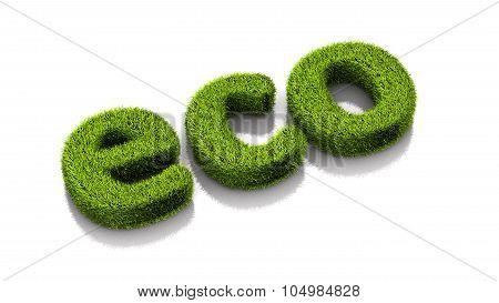 Grassed Conceptual Word Eco Isolated On White Background