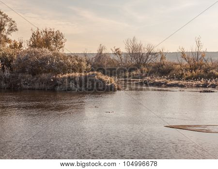 Frosty Sunrise On The River Teterev