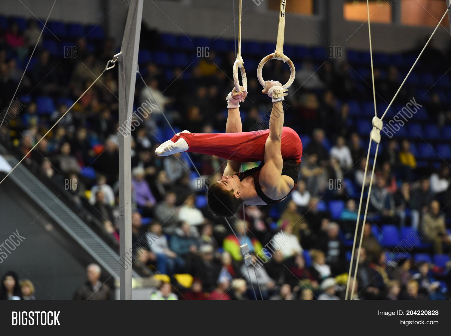 Male Gymnast Image & Photo (Free Trial) Bigstock