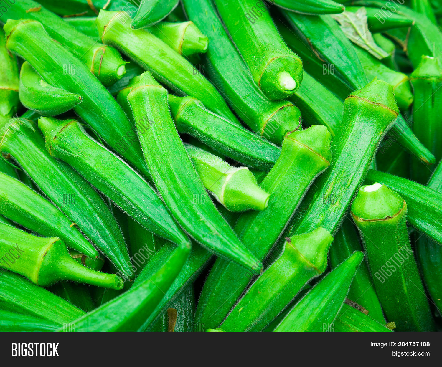 Fresh Okra Ladyfinger Image & Photo (Free Trial) Bigstock