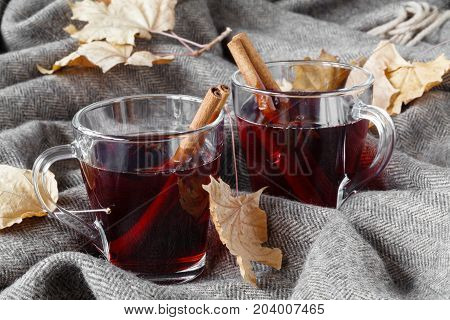 Cozy fall hot alcoholic drink mulled wine