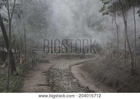 The smog is in the middle of the jungle of asia