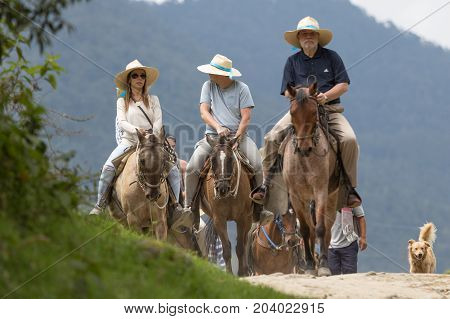 February 20 2017 Valle de Cocora Colombia: guided sightseeing tours in the jungle on horseback are very popular with tourists