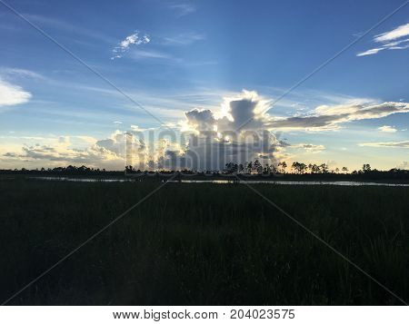 Beautiful And Peaceful Sunset In The Marshes Of A Swamp