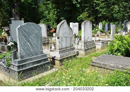Tombstones in the Public cemtery in summer