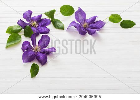 the wooden whitev background with purple clematis