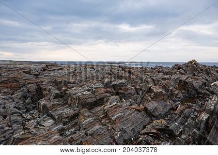 The texture of the north underwater rocks at low tide