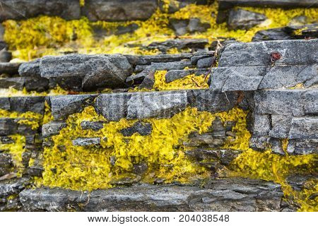 The texture of the north underwater rocks at low tide