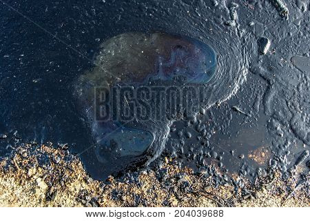 Oil, Leaked From A Sinked Ship, Come Ashore In Salamina Island Near Athens, After An Old Tanker Sank
