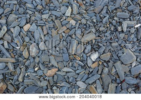 The texture of the north underwater rocks at low tide