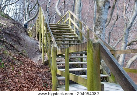 Stair On Mons Klint In Denmark