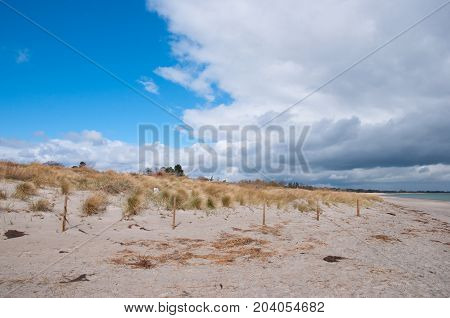 Marielyst beach in Denmark on a sunny day