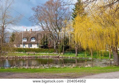 Pond In Village Of Gedesby In Denmark