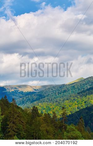 View on Carpathian Mountains in Sinaia Romania