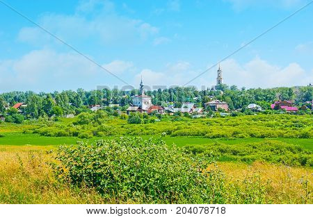 The Tall Grass On Ilinskiy Meadow In Suzdal