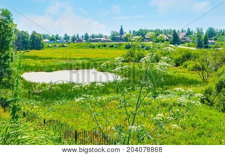 The Poison Hemlock On The Meadow, Suzdal