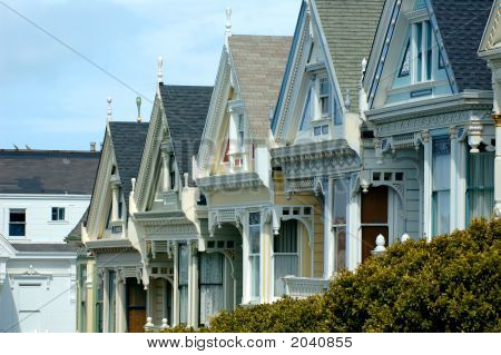 San Francisco boyalı Bayanlar