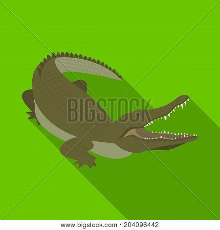 Crocodile, dangerous predator. Reptile, Nile crocodile single icon in flat style vector symbol stock illustration .