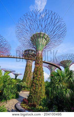 Unidentified Tourist Visited Skyway Of Gardens By The Bay At Singapore