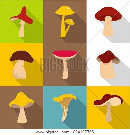 Forest mushroom icon set. Flat style set of 9 forest mushroom vector icons for web design