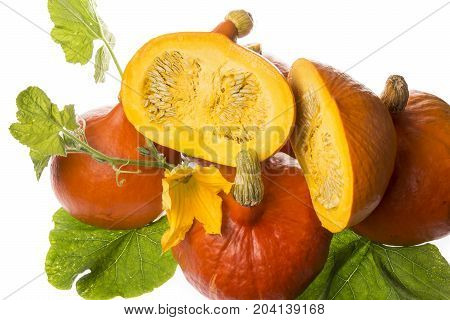 Pumkins hokkaido isolated on the white background