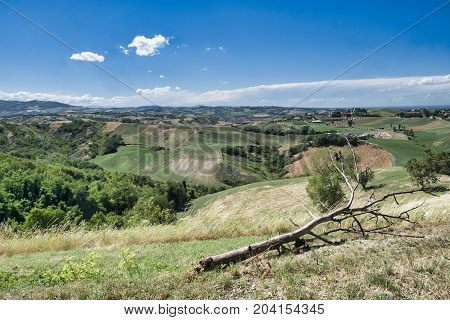 Summer landscape near Rivalta di Lesignano de Bagni (Parma Emilia-Romagna Italy) with the typical rocky inlets