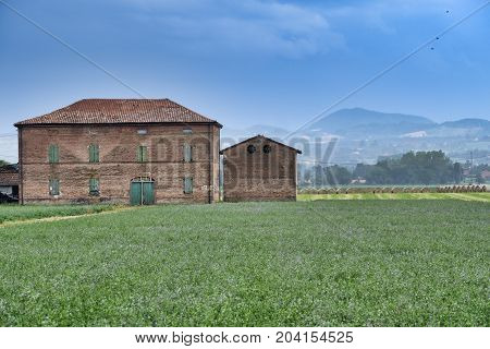 Rural landscape near Fidenza (Parma Emilia-Romagna Italy) at summer. Farm