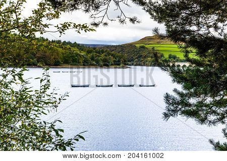Through the trees at Ladybower reservoir. Looking across the reservoir from wall through trees to small boat on the reservoir to the hillside and over cast sky