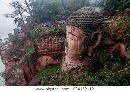 View of the Buddha statue in Leshan, China. Leshan Buddha is the world's largest statue of Buddha, whose height is 71 meters.