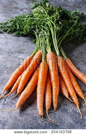 Bundle of fresh organic carrot with haulm over gray texture background.