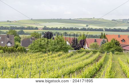 winegrowing scenery around Loerzweiler in the Rhineland-Palatinate in Germany at spring time