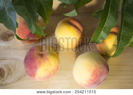 peaches on a brown background. peaches with green leaves. view from above in green leaves.