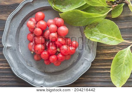 Chinese Magnolia Vine Berries