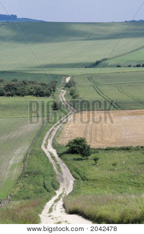 Lambourn Downs