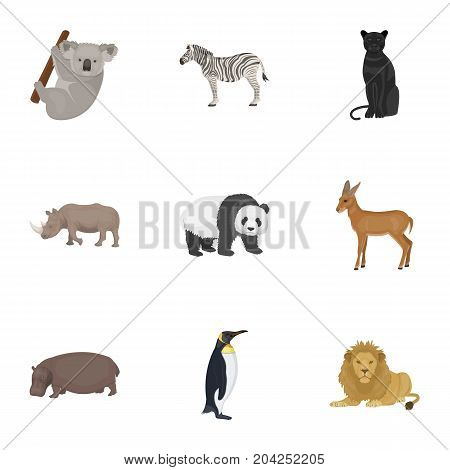 Ostrich emu, crocodile, giraffe, tiger, penguin and other wild animals. Artiodactyla, mammalian predators and animals set collection icons in cartoon style vector symbol stock illustration .