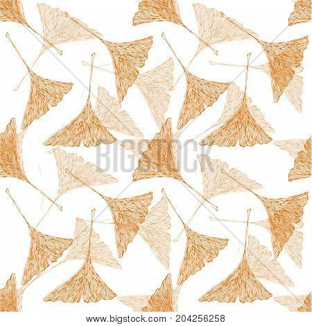 Vector yellow ginko leaves on white field. Autumn botany illustration.