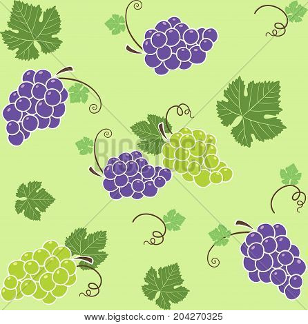 grape pattern saemless green backgrouds vectors image