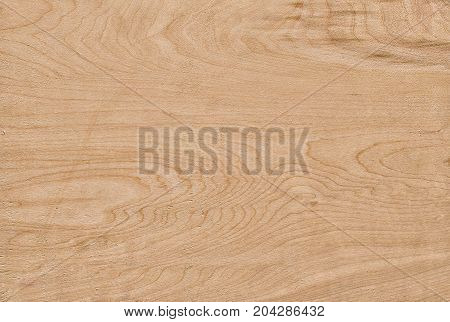 A Sheet Of Plywood Made Of Lime Wood