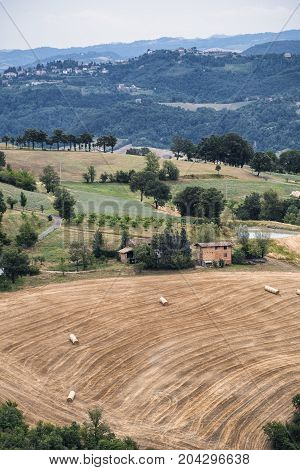 Summer landscape along the road from Serramazzoni to Marano sul Panaro (Modena Emilia Romagna Italy) at summer