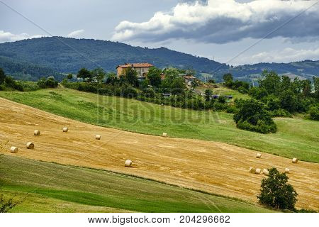 Summer landscape along the road from Maranello to Serramazzoni (Modena Emilia Romagna Italy) at summer