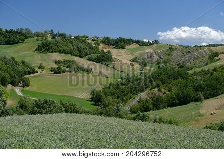 Summer landscape near Rivalta di Lesignano de Bagni (Parma Emilia-Romagna Italy) with the typical rocky inlets
