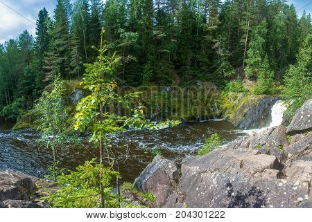 At The Waterfall Kivach, Karelia.
