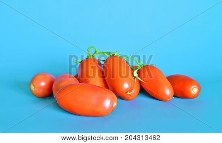 Tomatoes San Marzano, Campania, italy

Group of tomatoes San Marzano, bunch cluster, still life on gray-blue background
