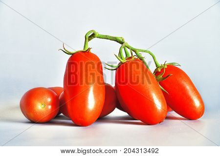 Tomatoes San Marzano, Campania, italy

Group of tomatoes San Marzano, bunch cluster, still life on gray-blue background