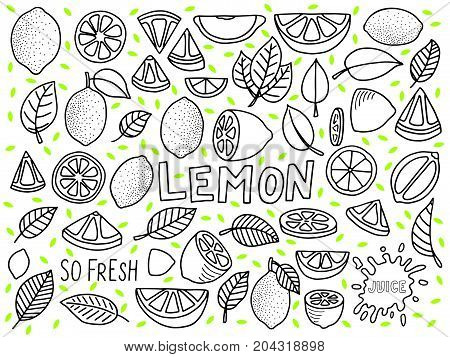 lemon illustration vecto background with lemon and lemon slice