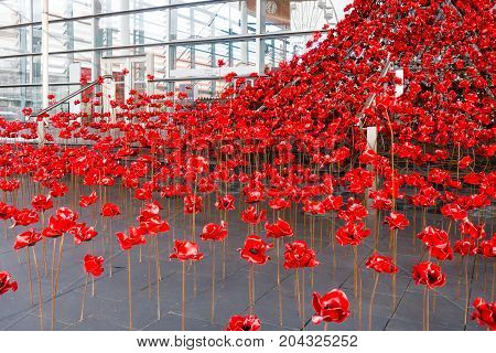 Cardiff Wales United Kingdom - September 15 2017: Weeping Window a cascade of several thousand handmade Poppies pouring from a window of the Welsh Assembly Building in Cardiff Bay Cardiff.