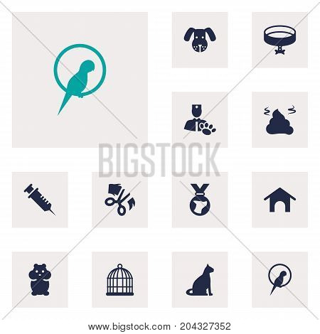 Collection Of Home , Bird , Neckband Elements.  Set Of 12 Animals Icons Set.
