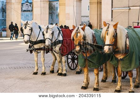 Horses with wagons in winter on the main square of Salzburg in Austria. Entertainment of tourists, riding. Attractions.