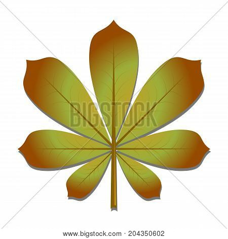 The chestnut leaf in autumn. Vector illustration